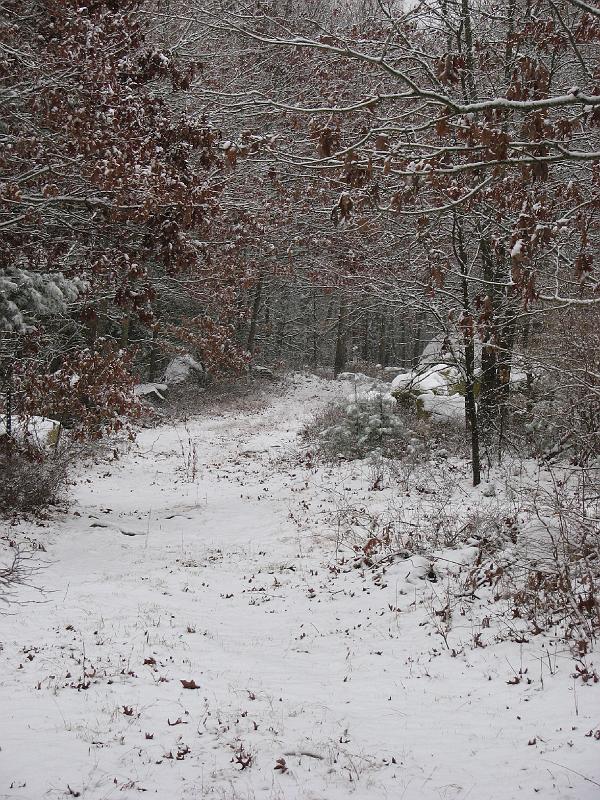 2008-12-07_First_Snow 025.jpg
